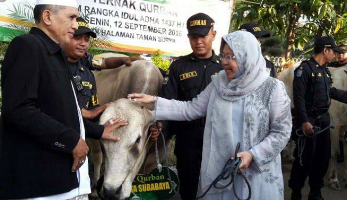 Pemkot Surabaya Serahkan Kurban 14 Sapi dan 46 Kambing