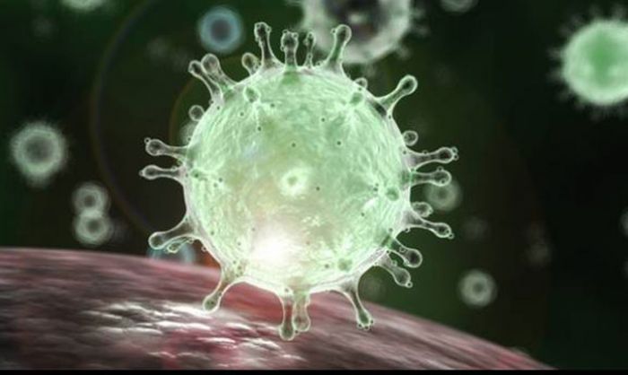 Antisipasi Penyebaran Virus Corona, Dinkes Batu Minta Layanan Kesehatan Waspada