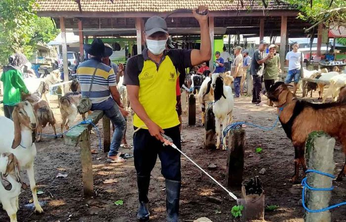 Antisipasi Perluasan PMK, BPBD Jatim Bantu Sterilisasi Pasar Hewan