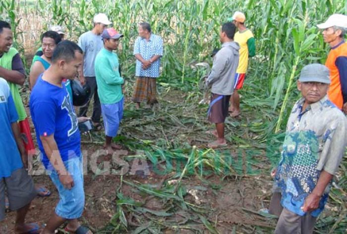 Cerita Warga dan Petani Saat Terjadi Baku Tembak antara Polisi dan Terduga Teroris