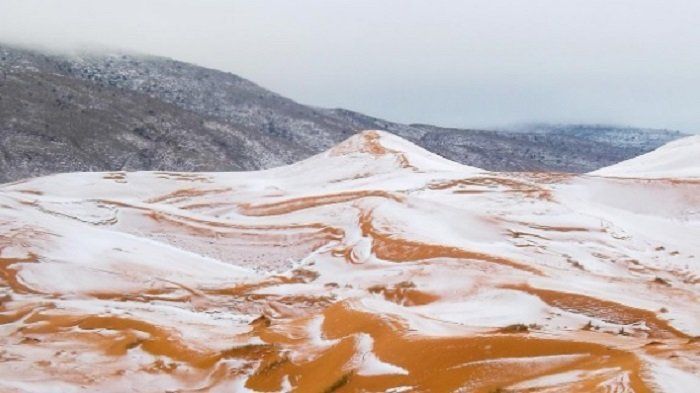 Salju di Gurun Sahara, Ini Dugaan Penyebabnya