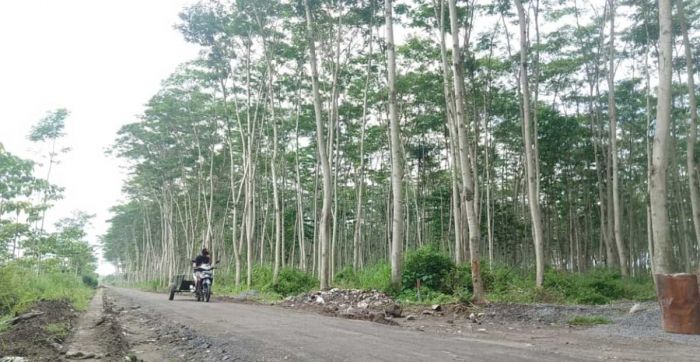 TMMD Kediri: Jalan Tembus 1,6 Km di Desa Gadungan Capai 60 Persen