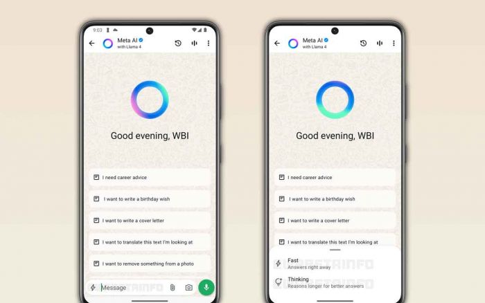 Meta Rilis Whatsapp Versi Berbayar, Ada Fitur Apa saja?