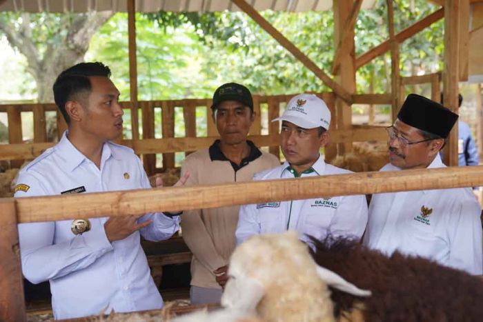 Baznas Luncurkan Balai Ternak di Tuban, Bupati Lindra: Demi Masyarakat Sejahtera