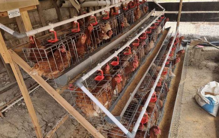 Masyarakat Bojonegoro Mulai Rasakan Program Gayatri, Tapi KPM Tetap Butuh Pendampingan Masyarakat Bojonegoro Mulai Rasakan Program Gayatri, Tapi KPM Tetap Butuh Pendampingan