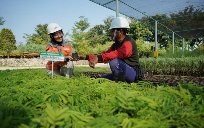 SIG Jaga Profitabilitas di Tengah Tantangan Pasar Domestik SIG Jaga Profitabilitas di Tengah Tantangan Pasar Domestik