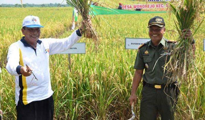 Bupati Gresik Panen Raya Padi di Balongpanggang