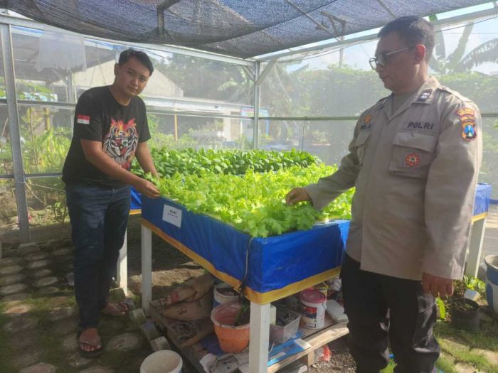 Bhabinkamtibmas Tebel Tinjau Lahan Ketahanan Pangan Sayur Hidroponik di Gedangan Sidoarjo Bhabinkamtibmas Tebel Tinjau Lahan Ketahanan Pangan Sayur Hidroponik di Gedangan Sidoarjo