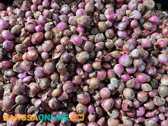 Fluktuasi Harga Pangan Jabar Hari Ini: Bawang Merah, Cabai Besar dan Daging Ayam Merosot