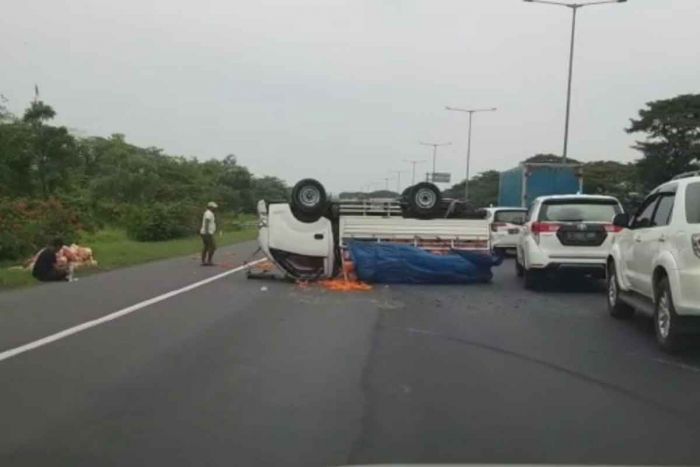 Pecah Ban, Pikap Bermuatan Wortel Terguling di Tol Waru-Sidoarjo