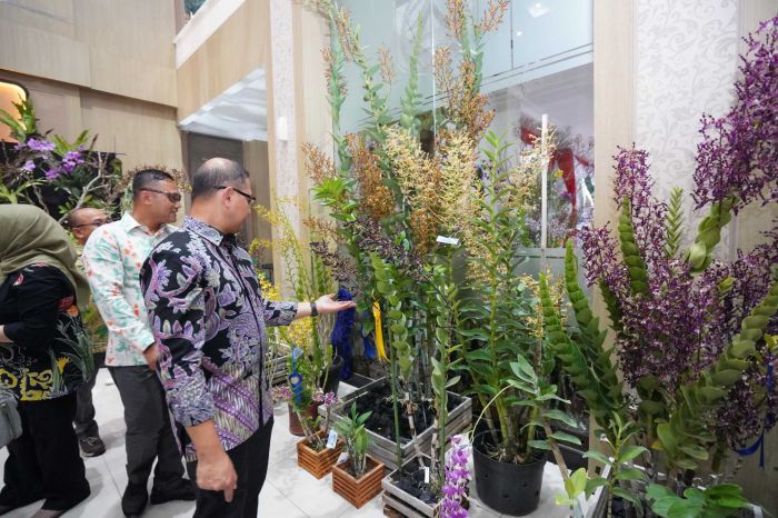 Batu Shining Orchid Week 2024, Bikin Kota Batu Jadi Perhatian Pecinta Anggrek Tanah Air