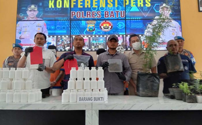 Budi Daya Ganja Sejak 2019, Seorang Sarjana Pertanian Ditangkap Polres Batu