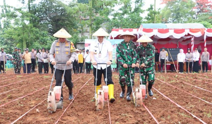 Dukung Program KPN, Kapolres Bangkalan Gelar Tanam Jagung Bersama Forkopimda dan Petani