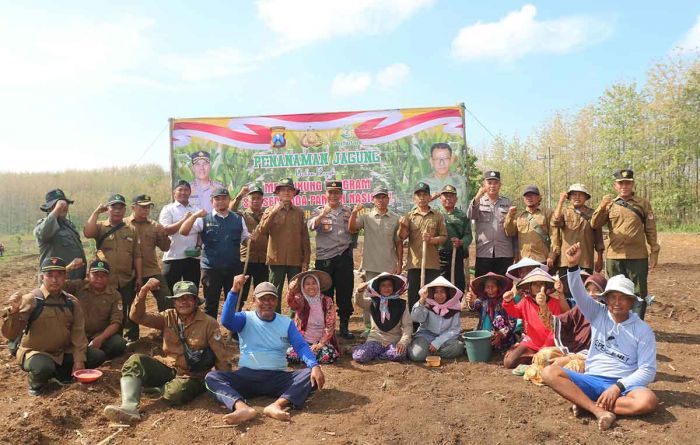 Dukung Program Ketahanan Pangan, Polsek Kabuh Manfaatkan 4 Hektare Lahan Kosong