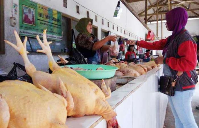 Pasar Ayam Jadi RPH, Satpol PP Kota Mojokerto Laporkan 10 Pengusaha