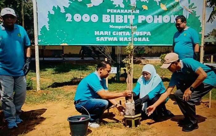 Ciptakan Udara Bersih dan Berkualitas, DLH Sumenep dan Medco Energi Tanam Ribuan Pohon