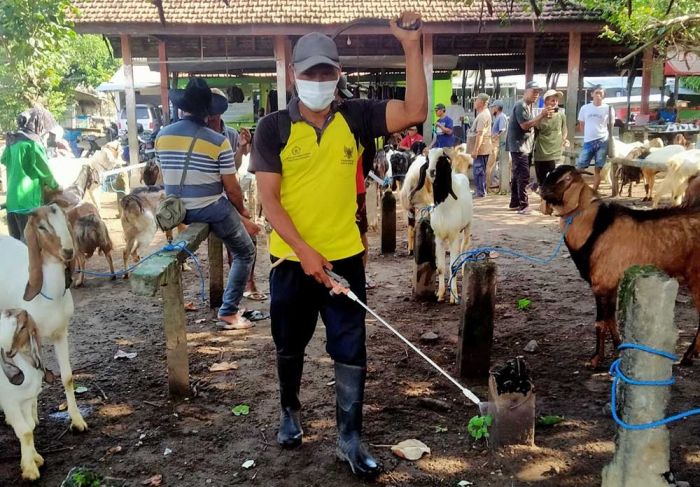 Putus Rantai Penyebaran PMK, DKPP Kota Kediri Lakukan Penyemprotan Disinfektan di Pasar Hewan