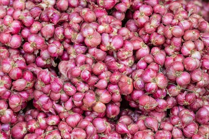 Memasuki Hari ke-9 Ramadan, Harga Bawang Merah di Jateng Naik Rp45.350/kg