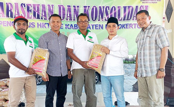 Tingkatkan Produktivitas Hasil Panen, Ketua HKTI Kabupaten Mojokerto Bagikan Bibit Padi MSP 65