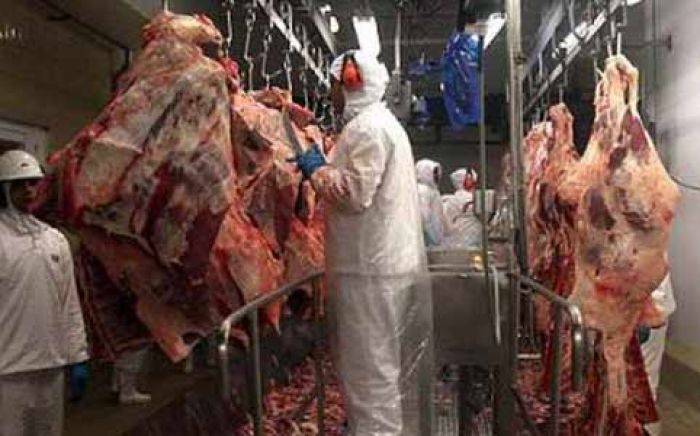 Harga Daging Melejit, RPH Magersari di Kota Mojokerto Sepi