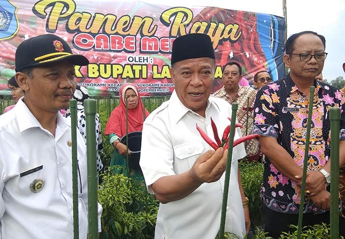 Panen Raya Cabai Merah, Bupati Fadeli Berharap Sukorame jadi Sentra Holtikultura