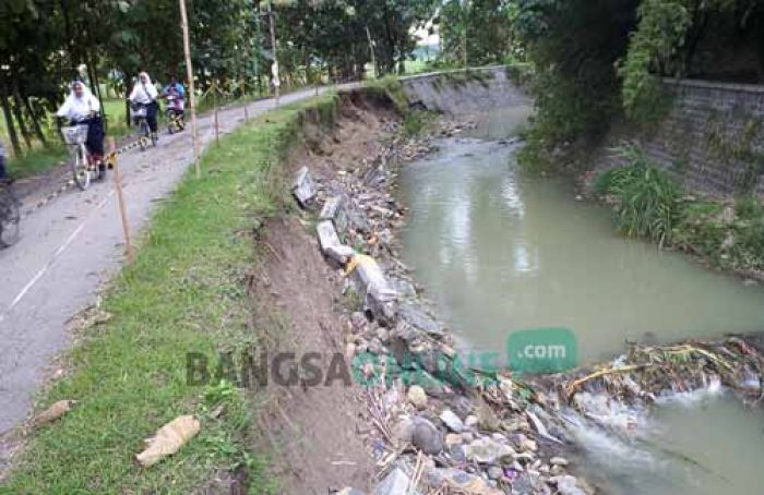 Plengsengan Sungai Marmoyo di Kedungjati Jombang Ambrol, Warga Khawatir Merusak Jalan