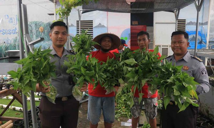 Tingkatkan Kemandirian dan Keterampilan WBP, Lasdaun Panen Kangkung