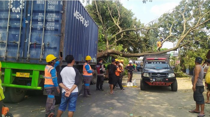 ​Diduga Ngantuk, Truk Kontainer Tabrak Pohon di Jombang, Lima Warung Rusak