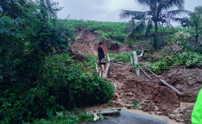 Akibat Hujan Deras, Longsor Terjang Dua Kecamatan di Trenggalek, Sejumlah Jembatan Rusak