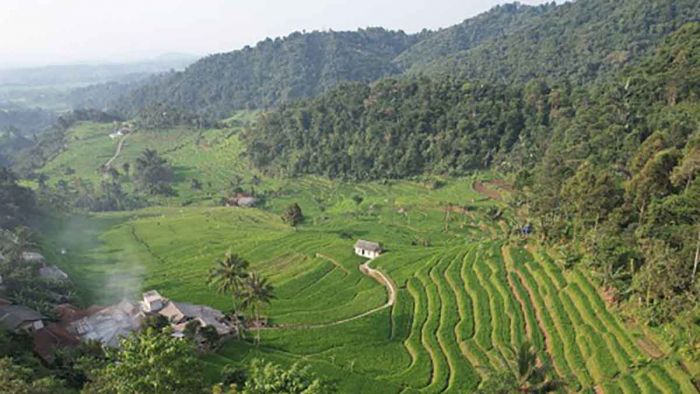 Buka GTRA Jatim, Dirjen Agraria Sampaikan Peran Reforma Agraria dalam Mendukung Asta Cita