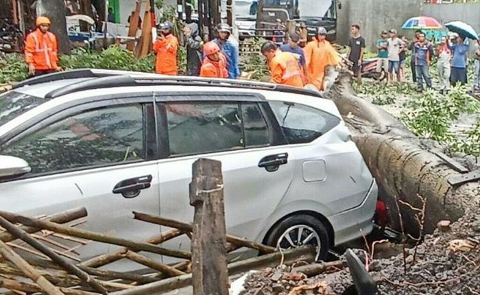 Hujan Deras Disertai Angin Kencang Landa Malang, 4 Rumah dan 1 Mobil Rusak Tertimpa Pohon