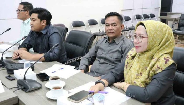DPRD Gresik: Target PAD Parkir Tepi Jalan Rp6,4 Miliar Dipastikan Tak Tercapai
