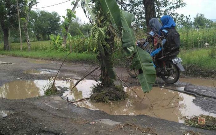 Kerap Timbulkan Kecelakaan, Jalan di Senori Ditanami Pohon, Warga Minta Pertamina EP Tanggung Jawab