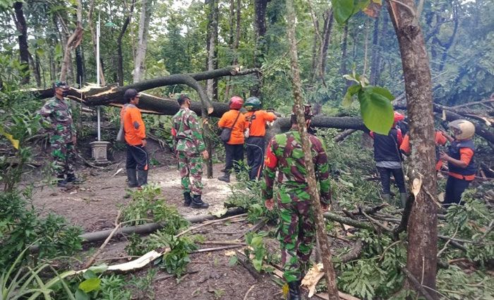Hujan Disertai Angin Kencang di Ngawi Robohkan Banyak Pohon dan Rontokkan Genting Warga