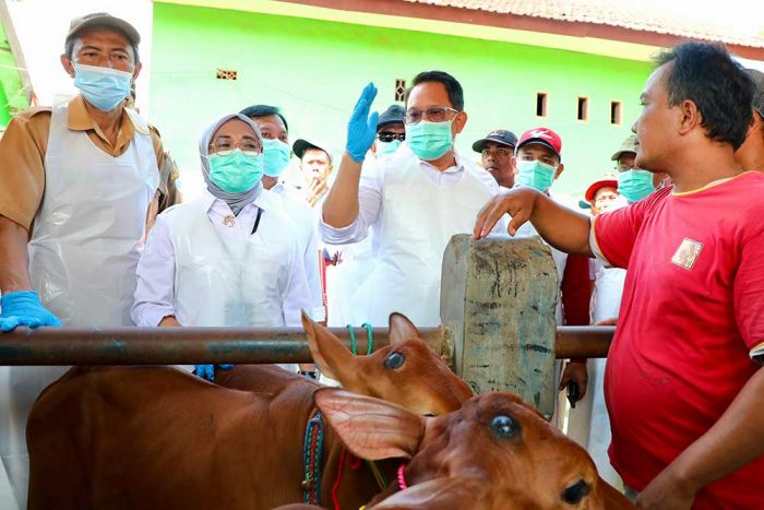 Tetapkan Status Darurat PMK, Pj. Gubernur Jatim Imbau Penanganan Dilakukan Cepat dan Holistik