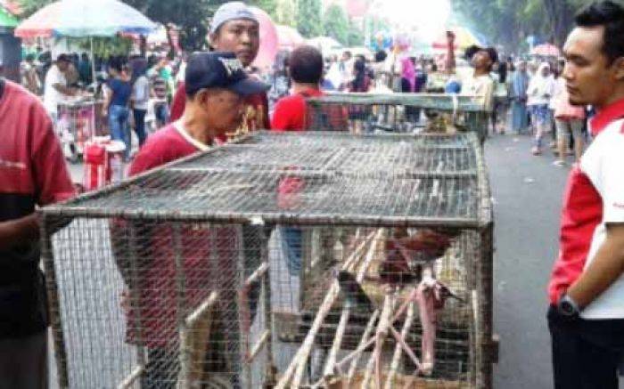 Satpol PP Tertibkan Pedagang Bermotor di CFD Madiun