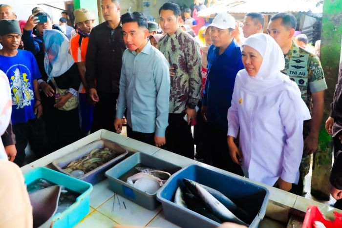 Gibran Tinjau Pasar Gelondong Gede Tuban, Gubernur Khofifah Pastikan Stok dan Harga Ikan Stabil