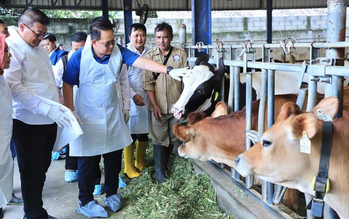 Tinjau Peternakan Sapi di Pujon, Pj. Gubernur Jatim Masifkan Vaksinasi PMK untuk Ternak Sehat