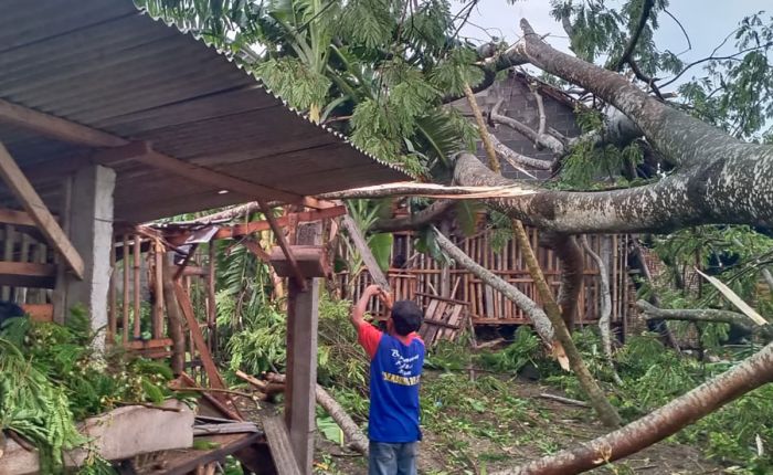 Angin Puting Beliung Terjang Kabupaten Kediri, Belasan Rumah dan Kandang Ternak Rusak