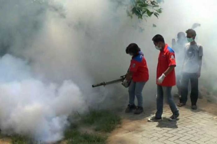 Cegah DBD, Perindo Fogging Ratusan Rumah di Tuban Cegah DBD, Perindo Fogging Ratusan Rumah di Tuban