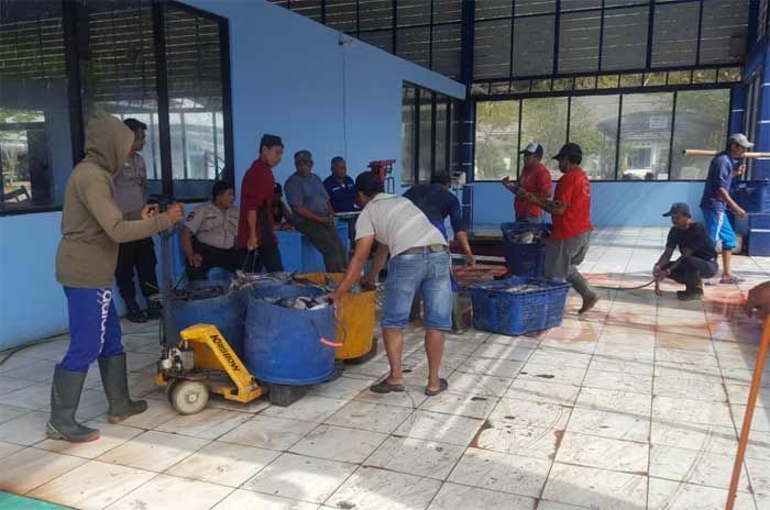 Banyak Nelayan di Pacitan Nekat Melaut Meski Gelombang Tinggi