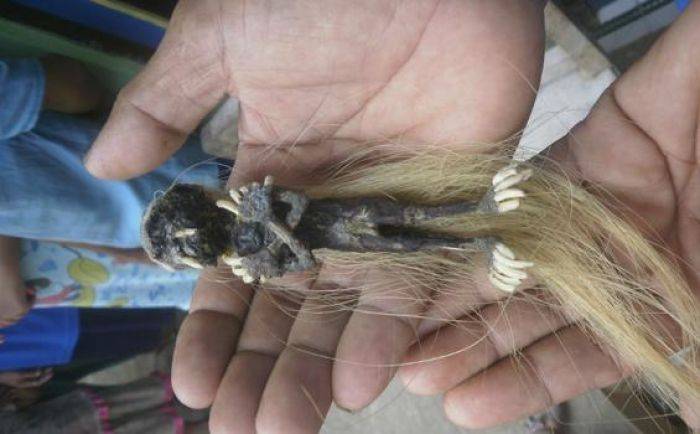Setelah di Ngawi, Kali Ini Jenglot Ditemukan di Pangandaran