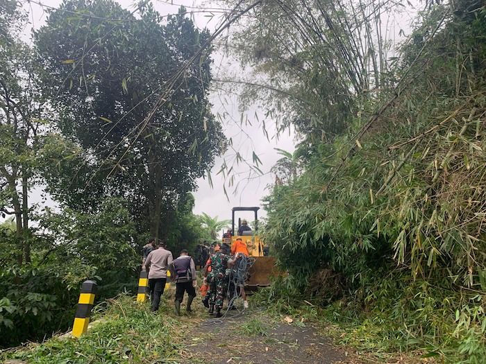 Akhir November, Hujan Deras Akibatkan Pohon Tumbang dan Tanah Longsor Landa Kota Batu