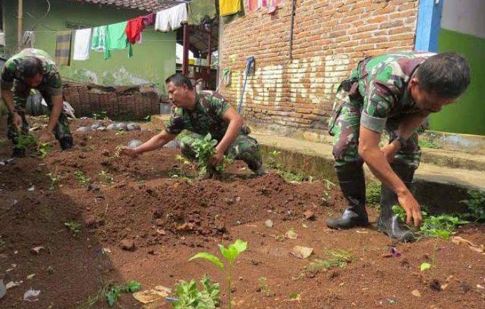 TNI Bantu Ajari Rakyat Tanam Cabe dan Hindari Rentenir