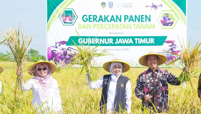 Produksi Padi Jatim Naik, Gubernur Khofifah Optimis Surplus Beras