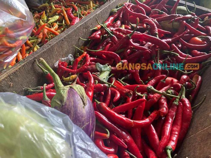 Daftar Harga Sembako Jatim Rabu 29 Oktober 2025: Stabil, Cabai Keriting Hanya Naik Rp1 Ribu