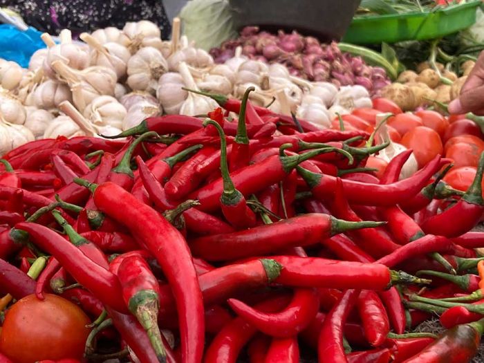 Harga Sembako Jatim Selasa 17 Juni 2025: Cabai Merah Besar Rp31.317/kg, Rawit Rp41.735/kg Harga Sembako Jatim Selasa 17 Juni 2025: Cabai Merah Besar Rp31.317/kg, Rawit Rp41.735/kg