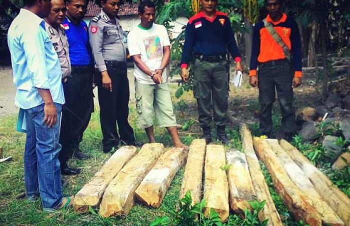 Curi Kayu, Dua Warga Mojoduwur Jombang Ditangkap Polisi