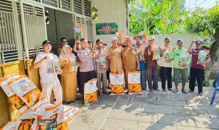 Bupati Kediri Salurkan Bantuan Benih untuk Petani Terdampak Banjir Bupati Kediri Salurkan Bantuan Benih untuk Petani Terdampak Banjir
