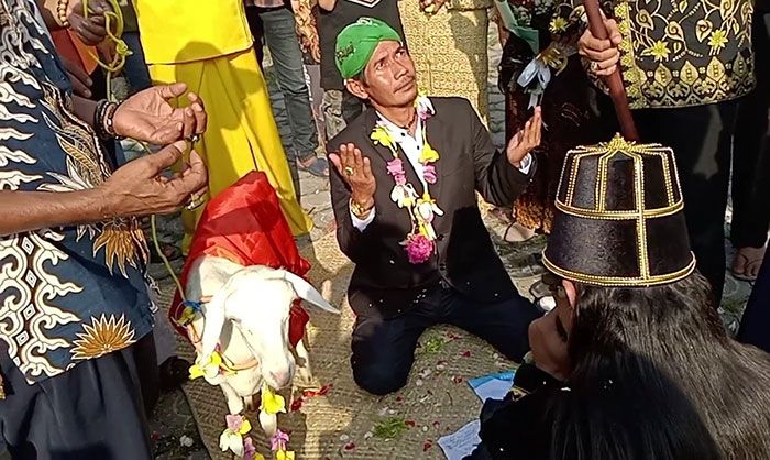 Ketua MUI Balongpanggang Mengaku Tertipu Undangan Pernikahan Manusia dengan Kambing